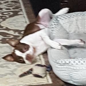 Meet your Posher, Mason